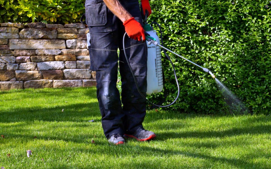 Outdoor pest control treatment