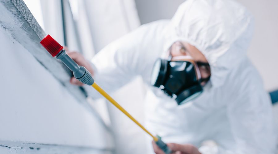 Professional pest control treatment application